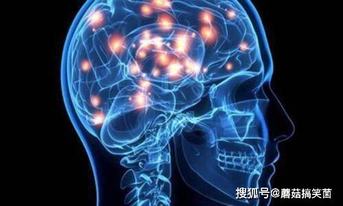 愛因斯坦的大腦有什麼特別之處？科學家經過研究後找到了答案 科技 第1張