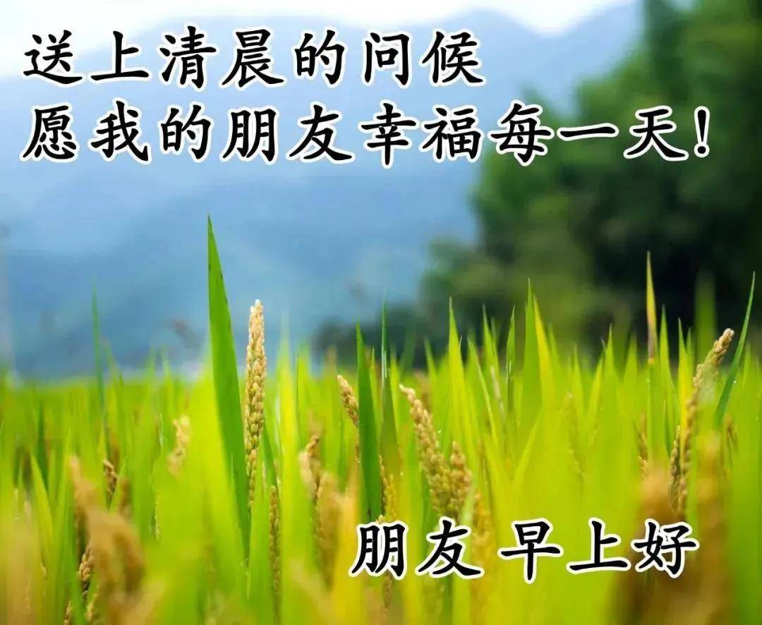 8张清新漂亮的秋天早上好带祝福语 免打字聊天的早安问候祝福语图片带