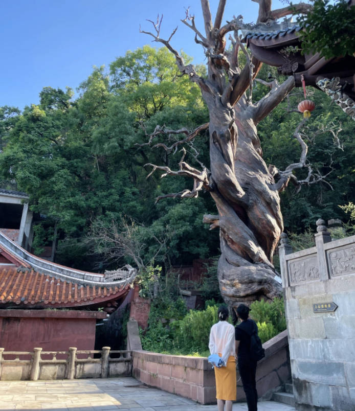 小孩|苗苗晒与郑恺出游照，皮肤白皙小腿纤细，两人搭肩手牵手超甜蜜