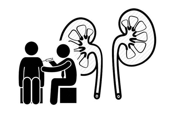 综合征|肾病综合症能活多久？医生坦白：生存长短，要看这2个因素