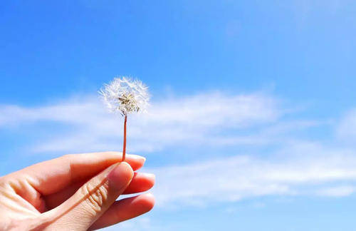 生活|多走路能降血糖吗？或许这有你想要的答案，血糖高的人望你了解