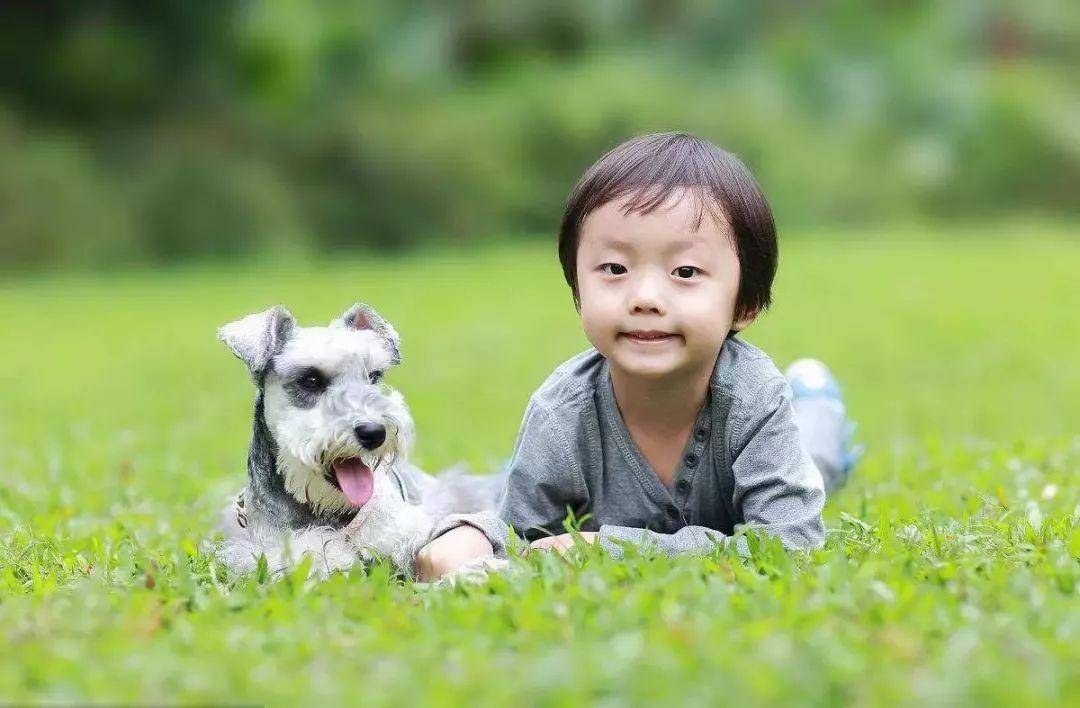 家长|“德式幼儿教育”更受推崇，核心在这三个方面，正是中国孩子缺的