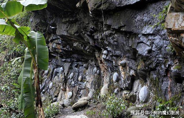贵州有一“会下蛋”的山崖，每枚蛋孕育时间30年，长成后自动脱落