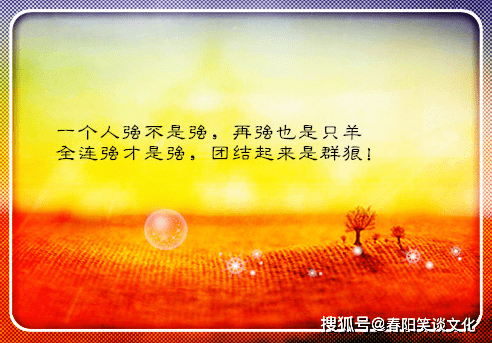 女人靠自己的经典励志名言 三八妇女节送给所有的独立女王 生活