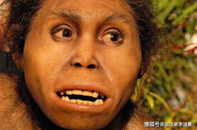 原创非洲出土最早直立人化石头骨碎成150块可能曾以南方古猿为食