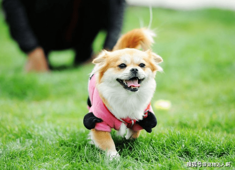 b08c5fcff990478aa3d24b50ea6e290c.png