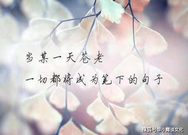 26b347ef3e954e7baccebc75f266da10.png