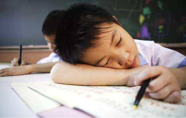 学生上课|“超前教育”带来了什么？一年级学生喊话老师：你教的我都学过了