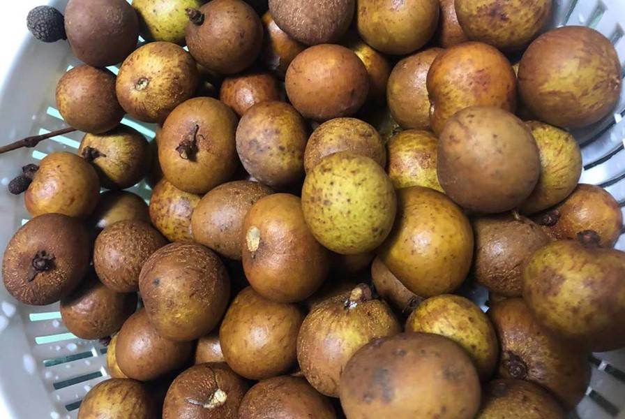 龙眼|明天白露，有钱没钱，这“5宝”别忘了吃，顺应时节，家人更健康