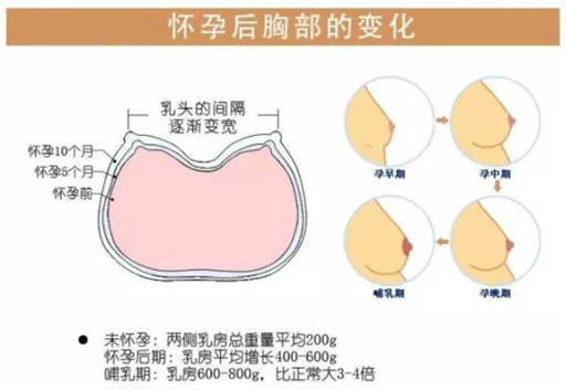 内衣带过敏_皮肤过敏图片