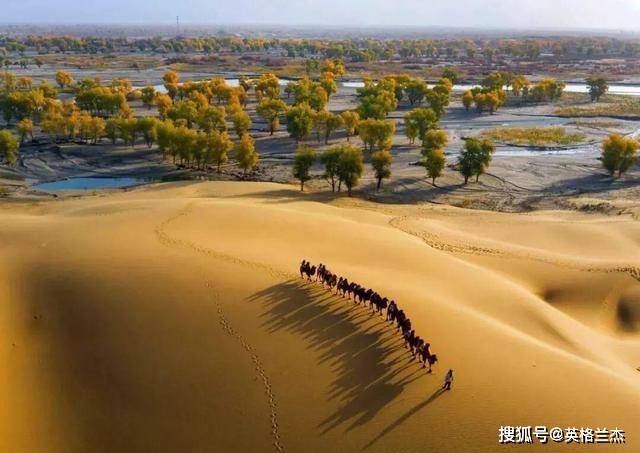 塔里木盆地面积大的沙漠 ca19c81c96d04d3c8686539caeb6bc35.jpeg