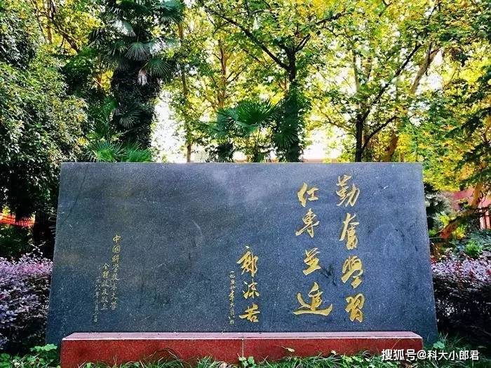 中国人民大学排行_985高校排名“大洗牌”,中国人大无缘前5名,浙江大学重回宝座