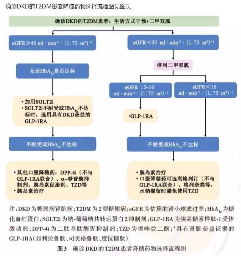 血糖|《中国糖尿病肾脏病防治指南(2021年版)》要点提示,一文全!