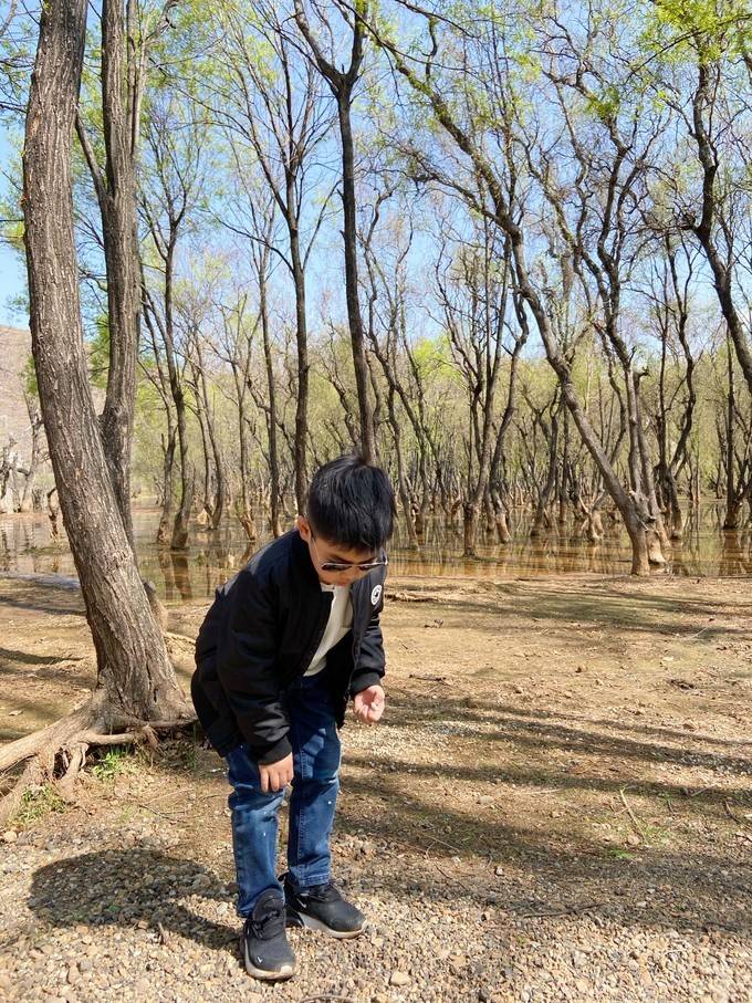 直飞|奔赴山海，保持热爱——亲子游之云南大理丽江8日慢游记