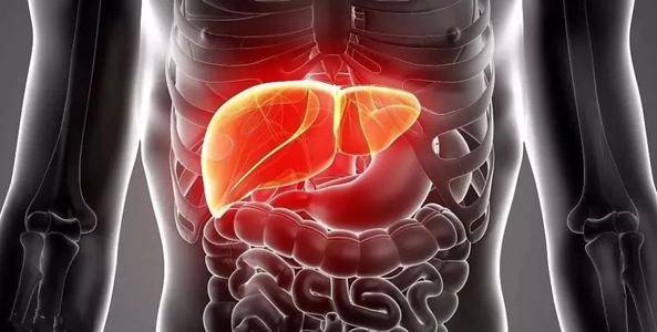 肝脏|肝不好,身体“先知”若身体会发出4个“通知”,若你都没有,值得恭喜