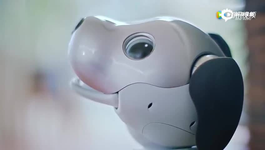 机器人|马斯克发布机器人，何小鹏牵出机器马，为什么电动车公司都开始做机器人了？