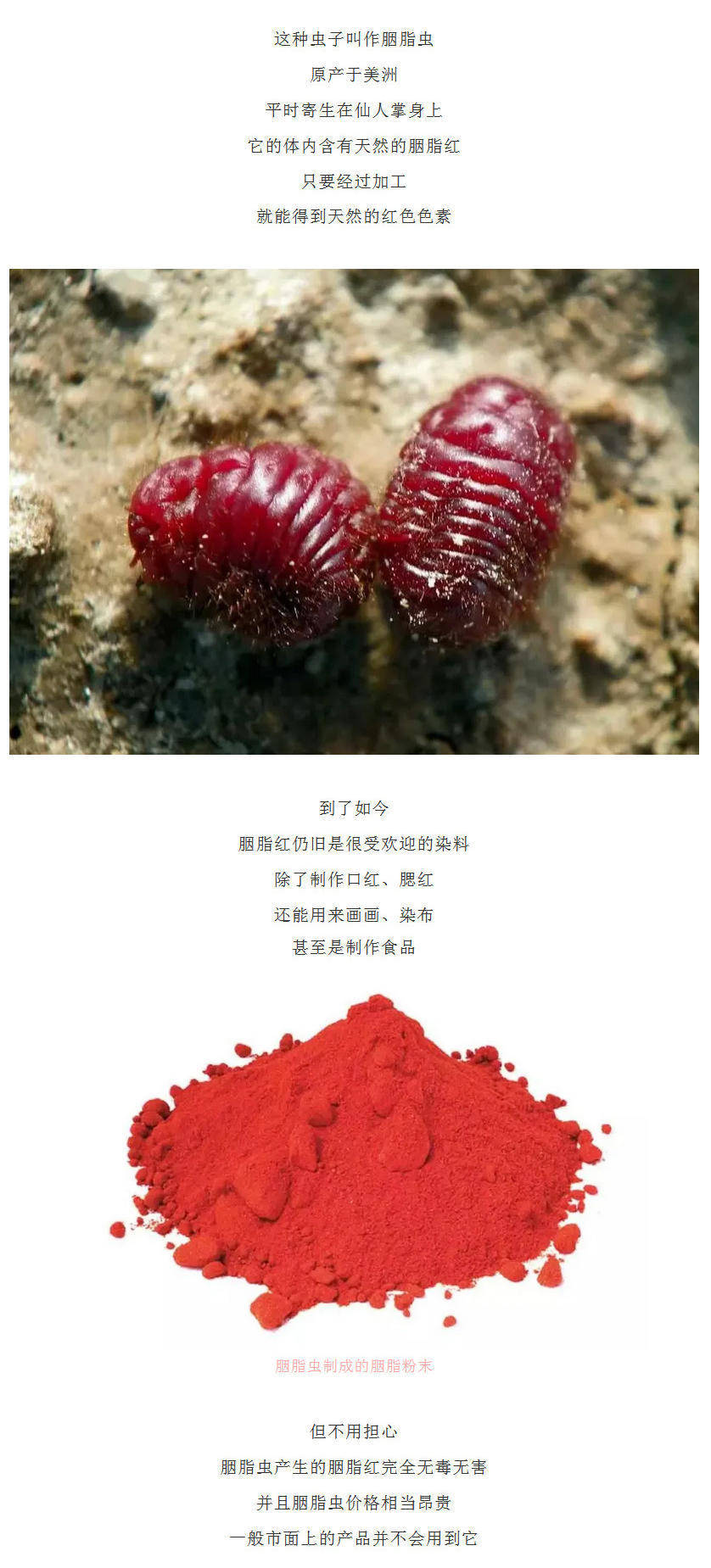 皇室|【大中华寻宝记神兽全知道】“屎黄色”居然是来自皇室的尊贵颜色？