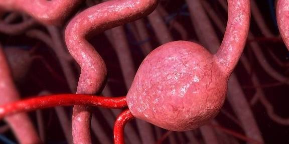 损耗|少不食壮火,年轻时不要乱补肾