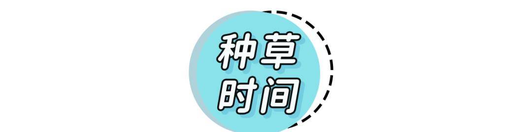 双肩包|18款平价高颜值的双肩包，上班上学背，美！炸！了！