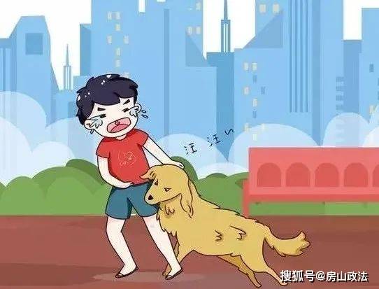 案例三:烈性犬伤人,被害人终身残疾《北京市养犬管理规定》携犬出户时