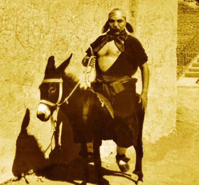 杨春霞|无法重拍的瞬间：唐僧搂着观音，如来穿军大衣，八戒骑黑毛驴