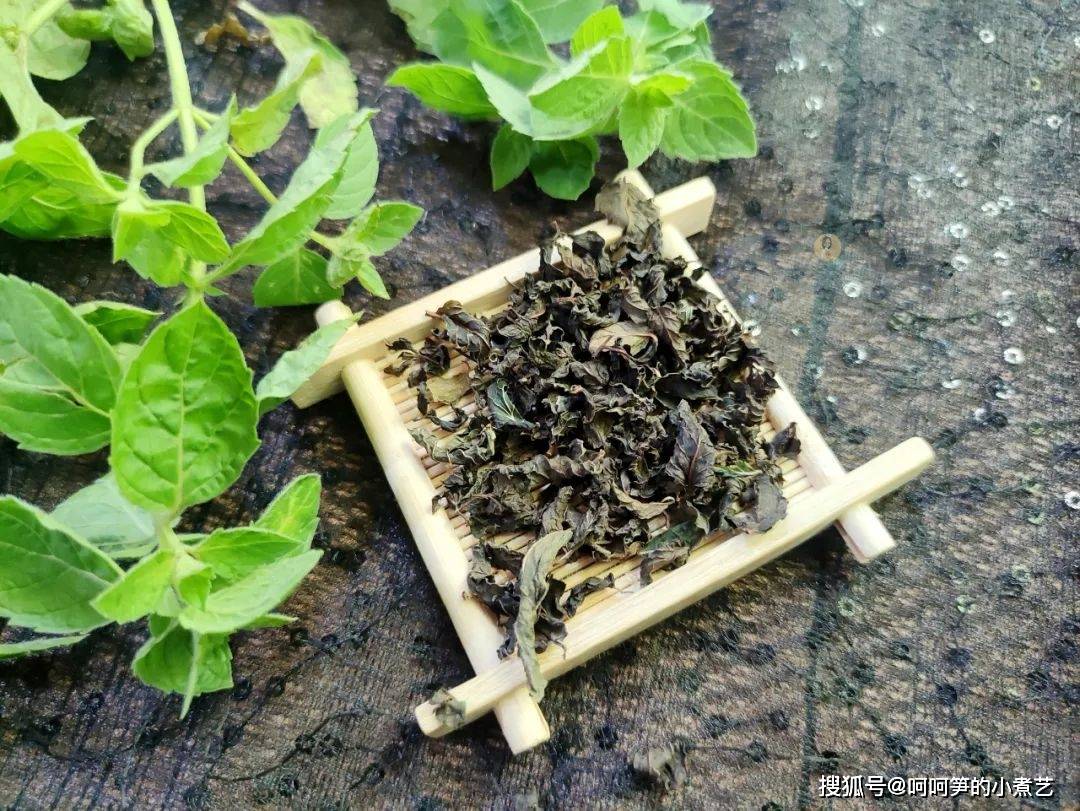 薄荷|新鲜的薄荷吃不完，教你做成薄荷茶，方法简单好储存，可以喝一年