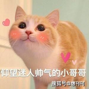 威龙|天涯四美的审美过时了？娱乐圈浓颜系帅哥告诉你，审美从不分古今