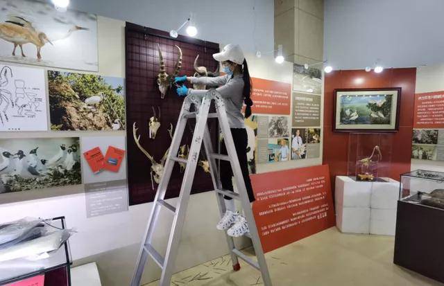 新展｜国家动物博物馆：百年前动物标本首次展出，讲述科学家的动人故事