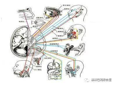 感覺|格林巴利還覺得感冒不重要嗎？