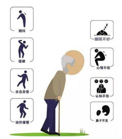 瑞妮葆|瑞妮葆芝麻素SVE:年轻人也要重视神经系统健康