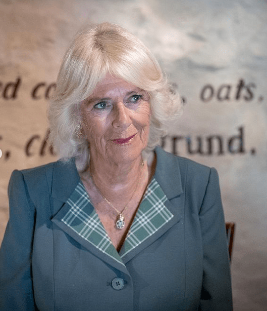 查尔斯|卡米拉被长公主孤立了?穿格纹绿裙清新大方,满脸都是褶子好嘚瑟