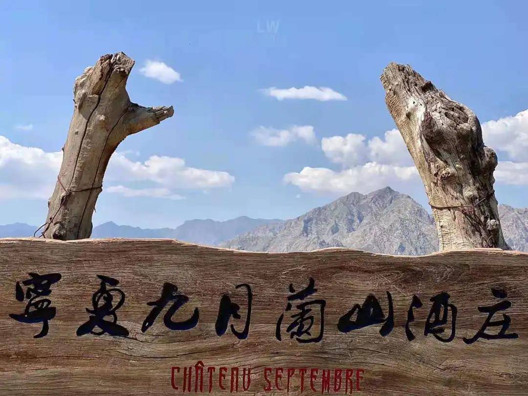 时间|能不能给我一天的时间，带你把贺兰山东麓看遍？