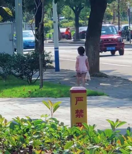 家长|浙江一小女孩，第一次独自出门买早餐，爸爸内心很慌全程跟随！