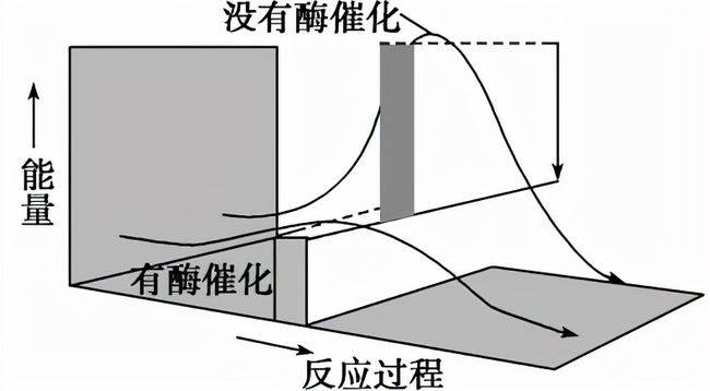 原创30000条蛇集体求偶缠绕雌性形成交配球只因性别严重失衡