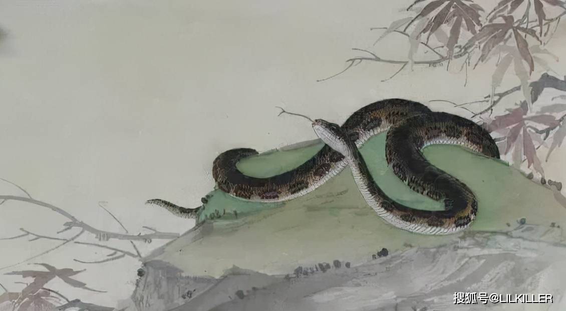 梦境中的蛇群追逐,解读梦中蛇的象征意义与内心映射 梦境中的蛇群追逐,解读梦中蛇的象征意义与内心映射