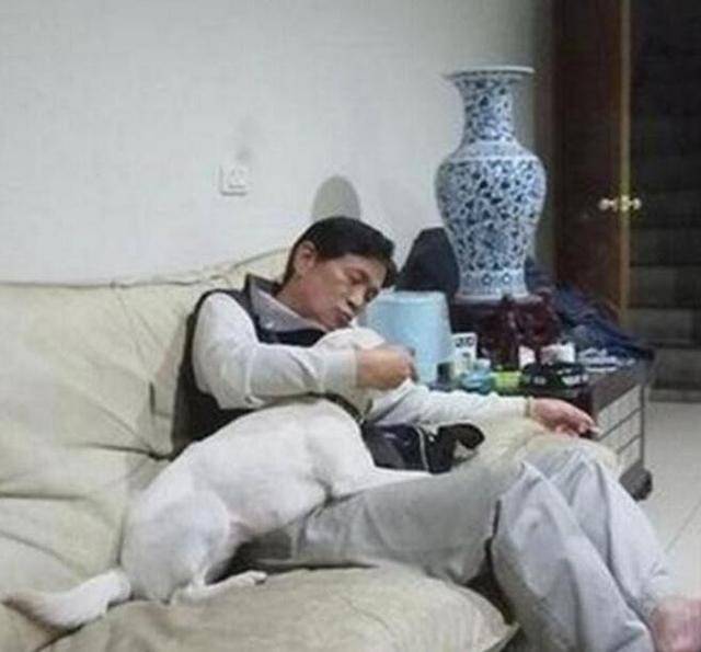 撿流浪狗回家被老爸罵慘，現在外出了，他反倒是自己寵得不行 ! 萌趣萌寵 第3张