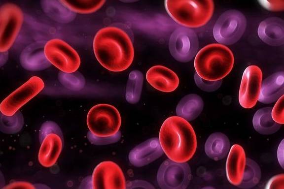 睡眠|糖尿病怎么样做血糖好？五个控血糖的基本原则要清楚