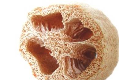 症状|半年就要命，吴邪得的肺纤维化是什么病？