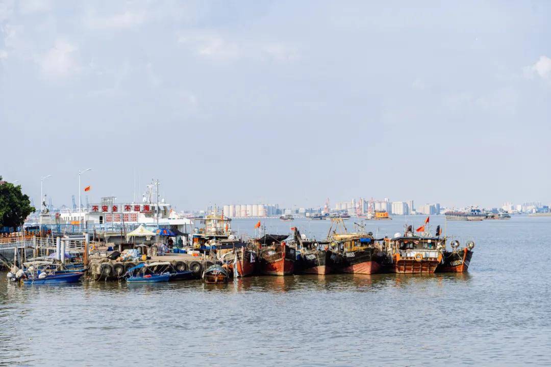 酷似湛江的莲花山码头可能是广州最适合吃海鲜的地方
