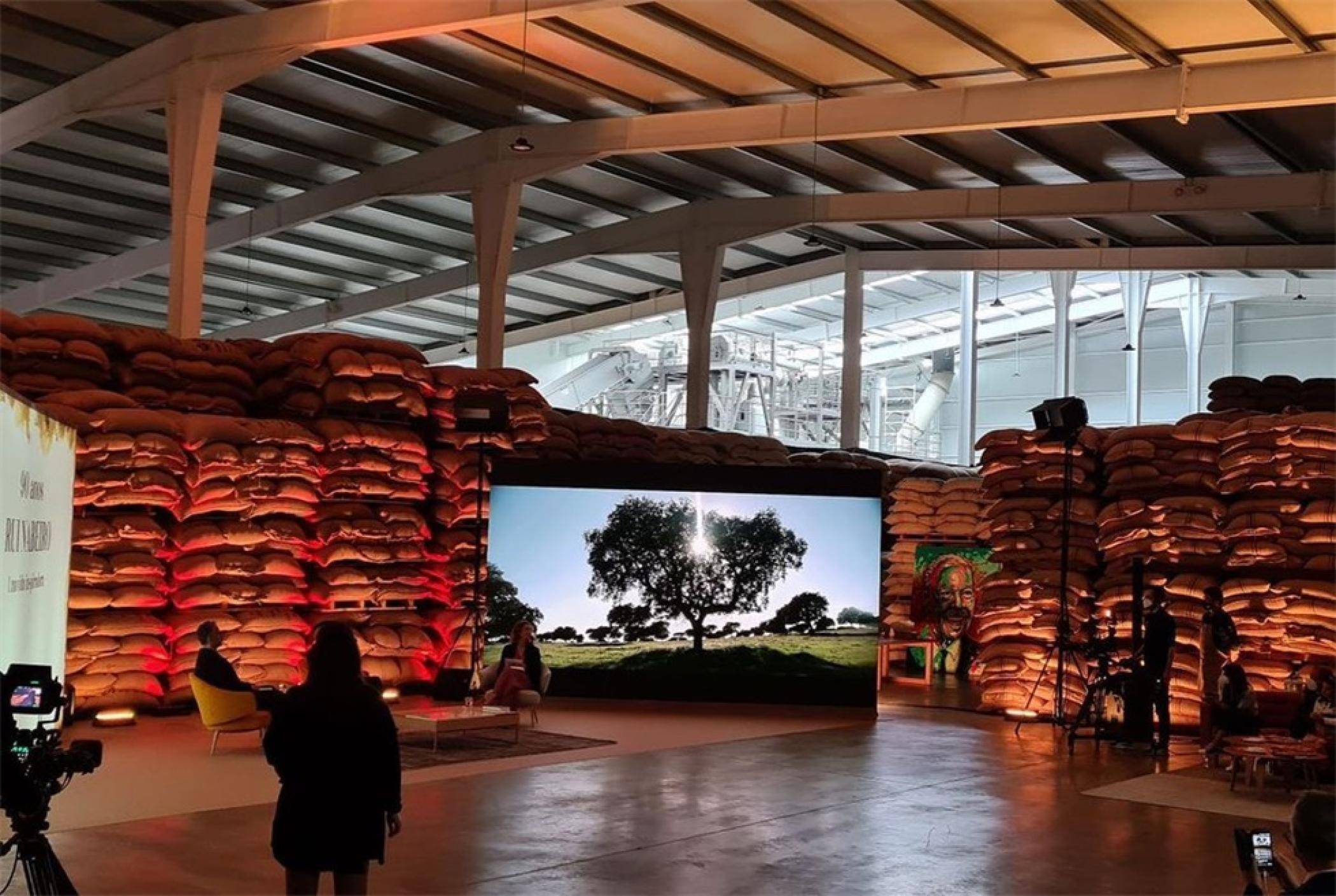 创意仓:生日访谈活动策划分享—葡萄牙