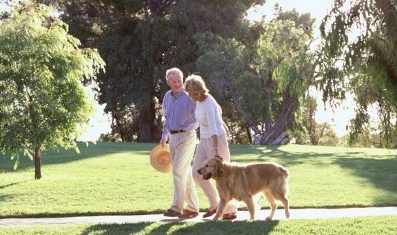 什么|很喜欢出去玩的狗，为什么突然死也不出门？你找到原因没