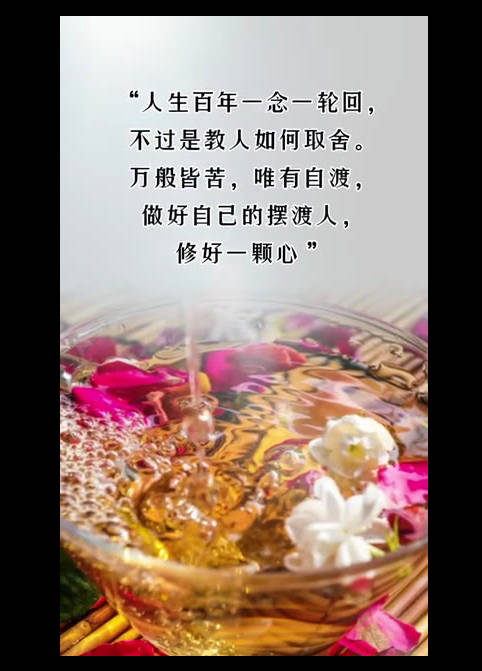 酒茶香人生百年一念一轮回不过是教人如何取舍