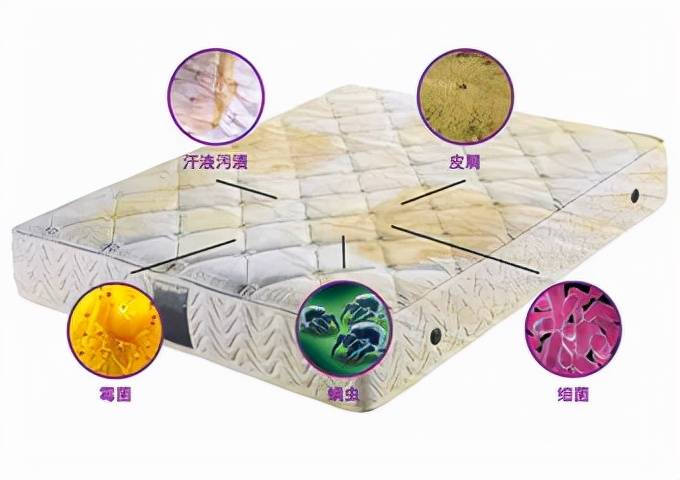 接下来我们来说说如何清理床垫上的螨虫吧!