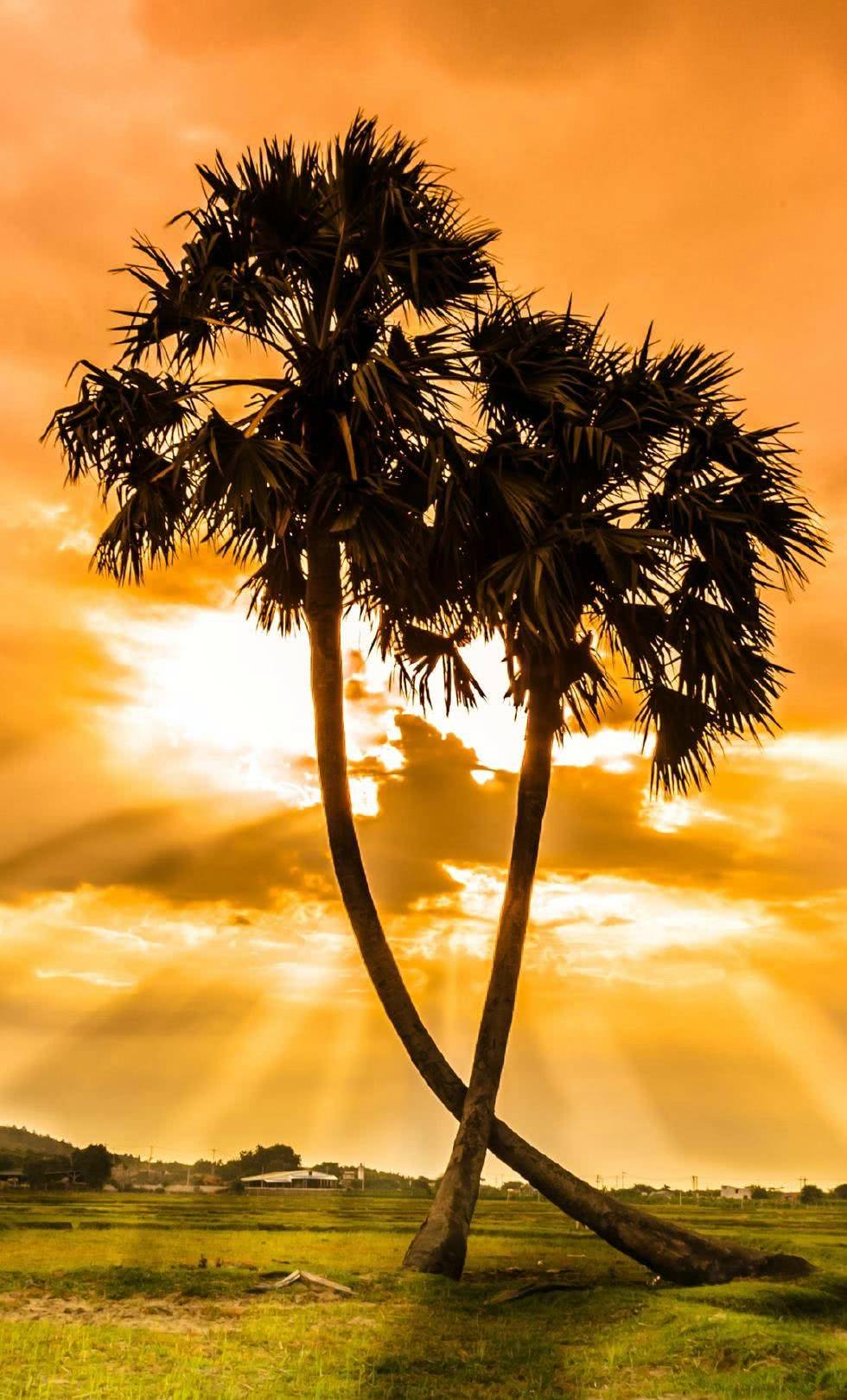 原创长大后我们渐渐对很多事无动于衷