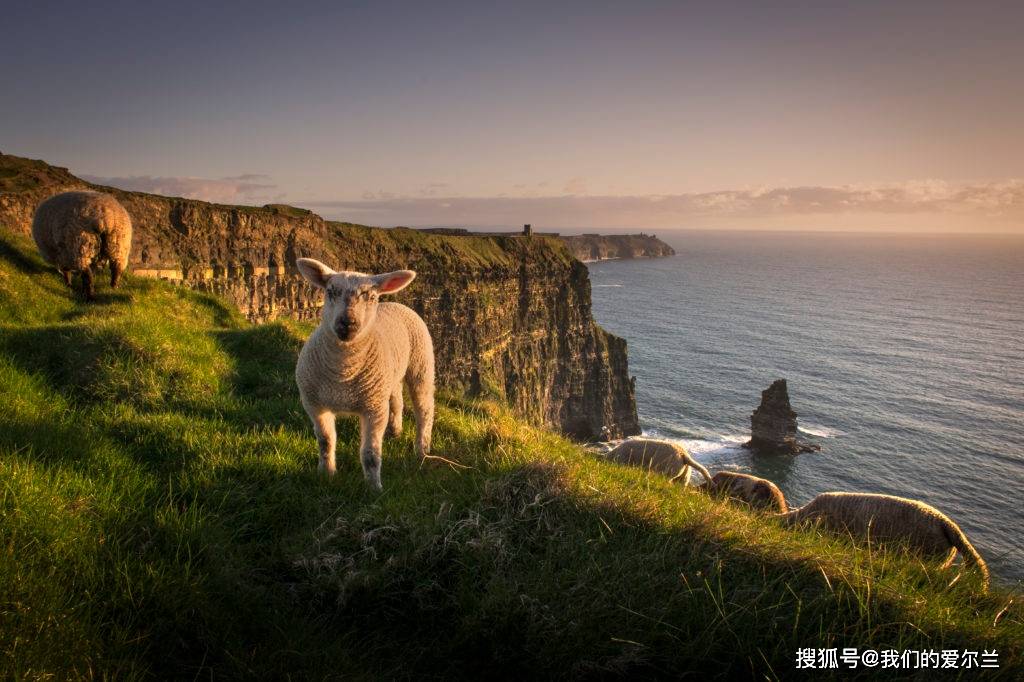 爱尔兰的莫赫悬崖是全世界最受欢迎的自拍地点之一