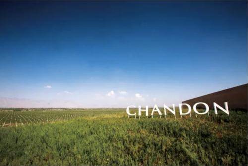 葡萄|宁夏贺兰山东麓的葡萄酒,真的值得夸一波