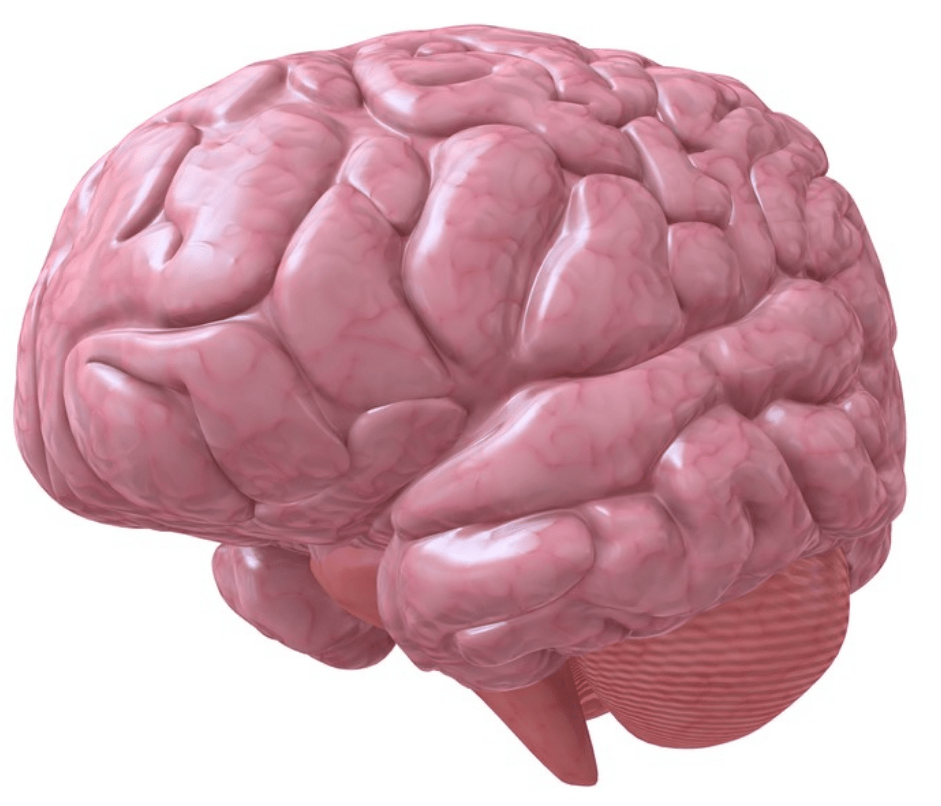 7bdb6651c8e0403c851ddb690ee4551e.png