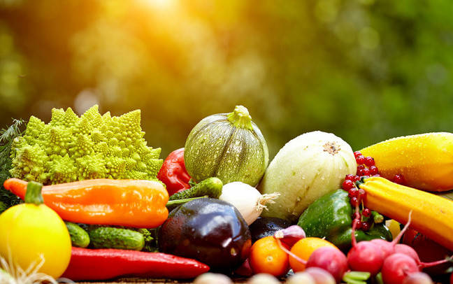 人体|秋季养生 | 据统计!79%的人每日饮食都存在隐患!