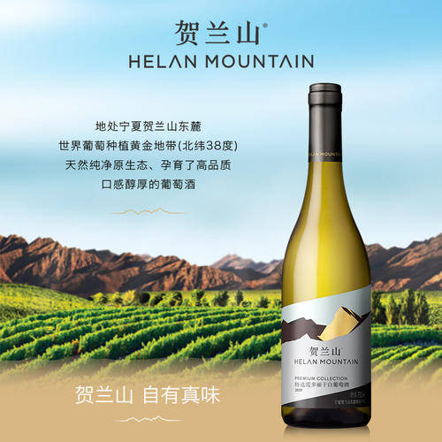 葡萄|宁夏贺兰山东麓的葡萄酒,真的值得夸一波