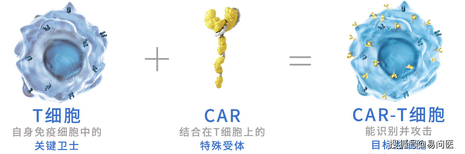 疗法|打破复发难治枷锁，CAR-T为更多患者点燃「治愈」希望！